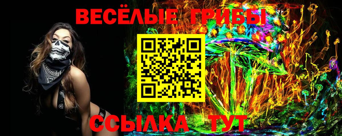 закладки  Псилоцибиновые грибы мицелий  Вход с VPN  Галлюциногенные грибы мухоморы  Сорочинск 